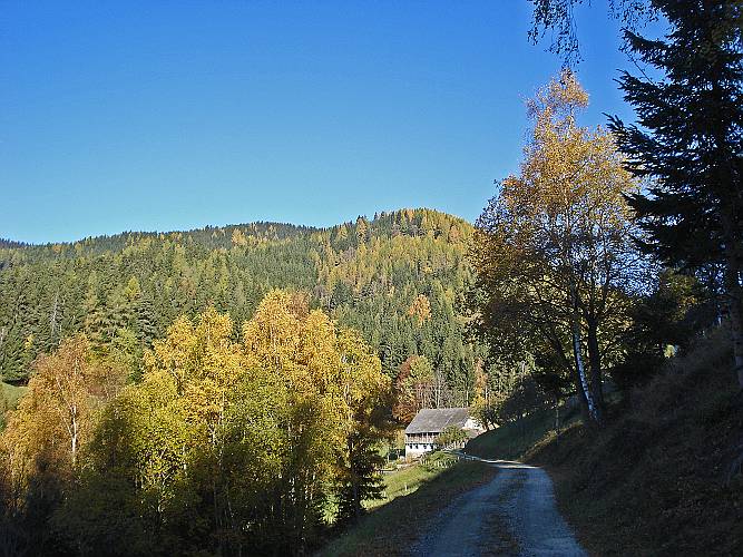 17 Schwaiger vlg. Roanler